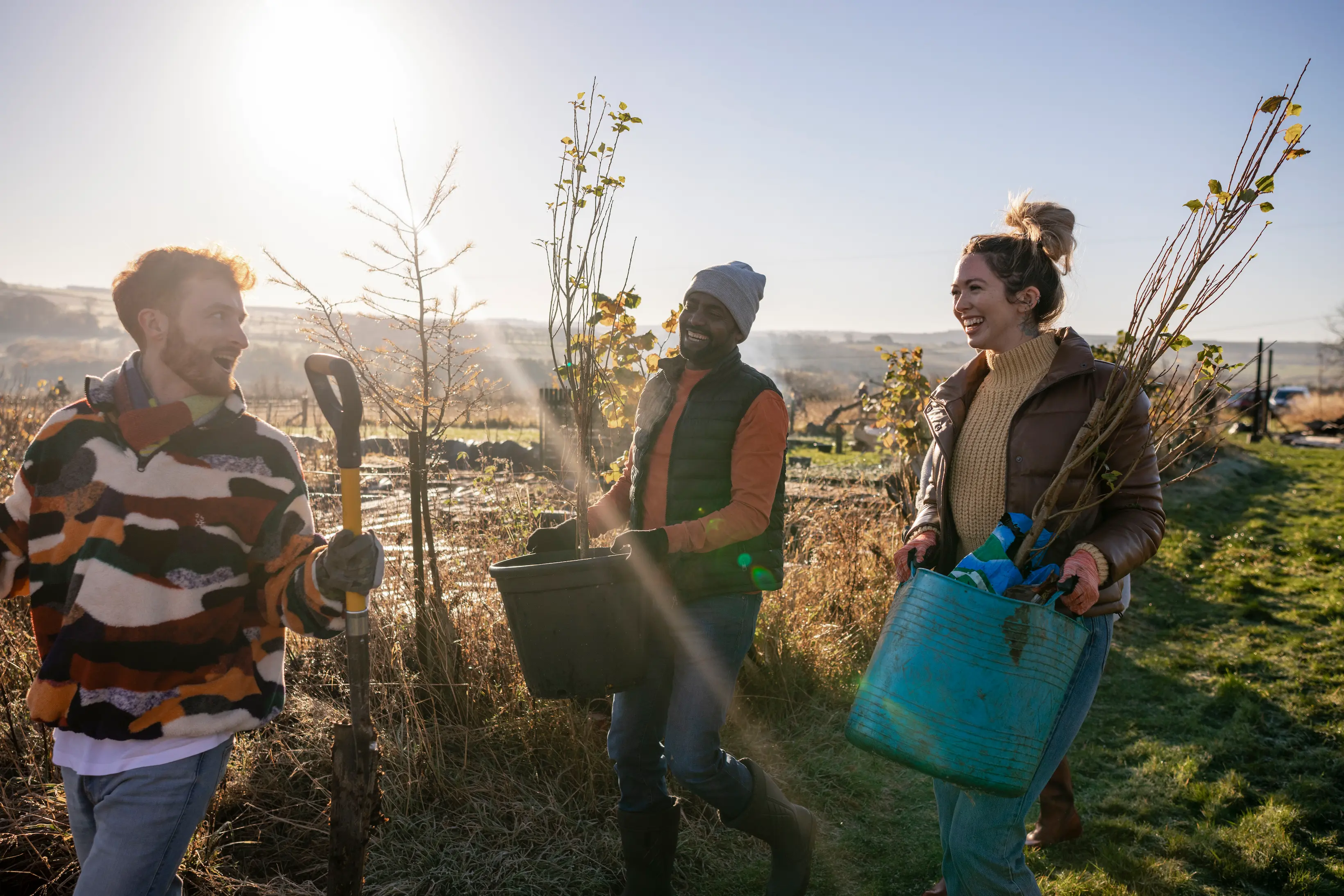 Grouo Pf Friends Planting Trees
