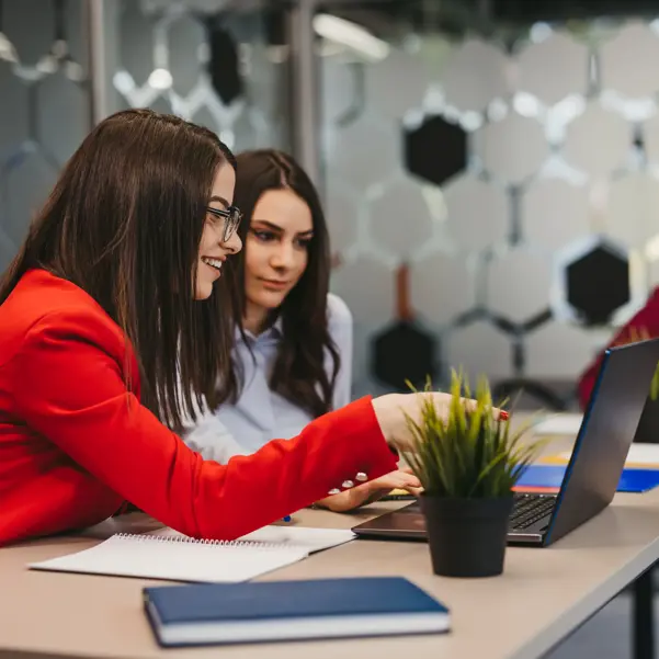 Two Women In The Office